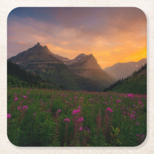 Posavasos Cuadrado De Papel Wildflowers del glaciar