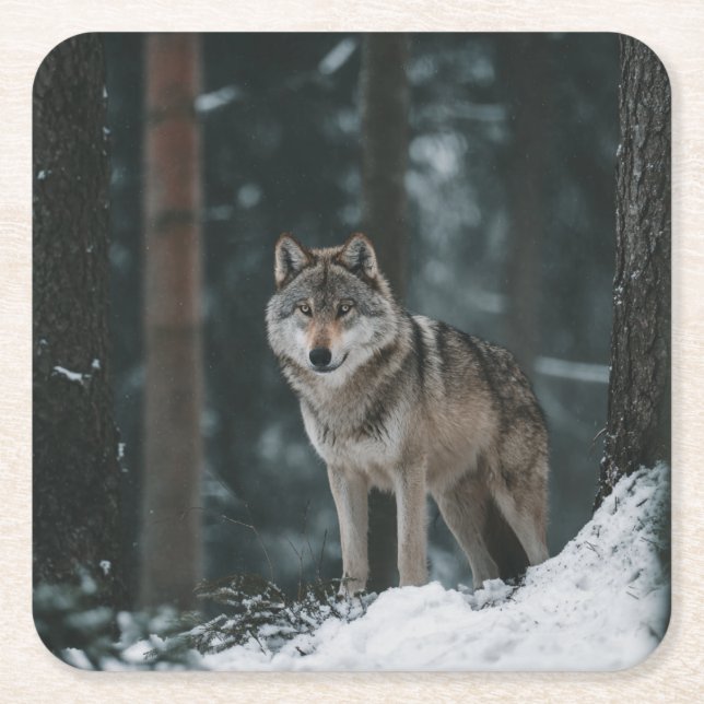 Posavasos Cuadrado De Papel Wolf in Winter (Anverso)