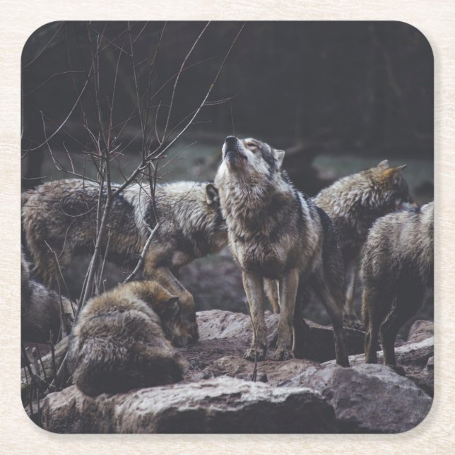 Posavasos Cuadrado De Papel Wolf Pack (Anverso)