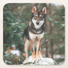 Posavasos Cuadrado De Papel Wolfdog