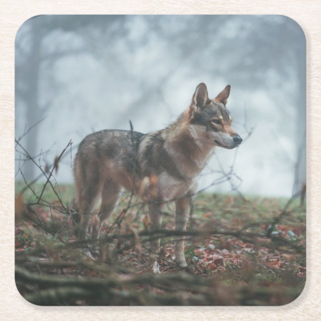 Posavasos Cuadrado De Papel Wolfdog (Anverso)
