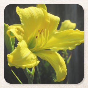 Posavasos Cuadrado De Papel Yellow Day Lily Fiesta Coaster