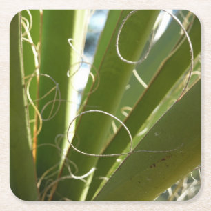 Posavasos Cuadrado De Papel Yucca deja fotografía verde de la naturaleza
