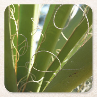 Posavasos Cuadrado De Papel Yucca deja fotografía verde de la naturaleza