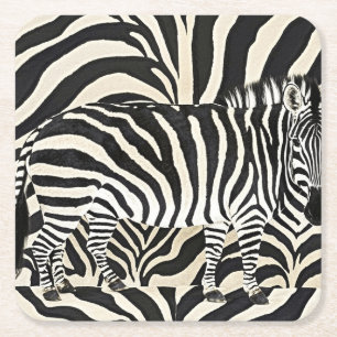Posavasos Cuadrado De Papel Zebra Coasters