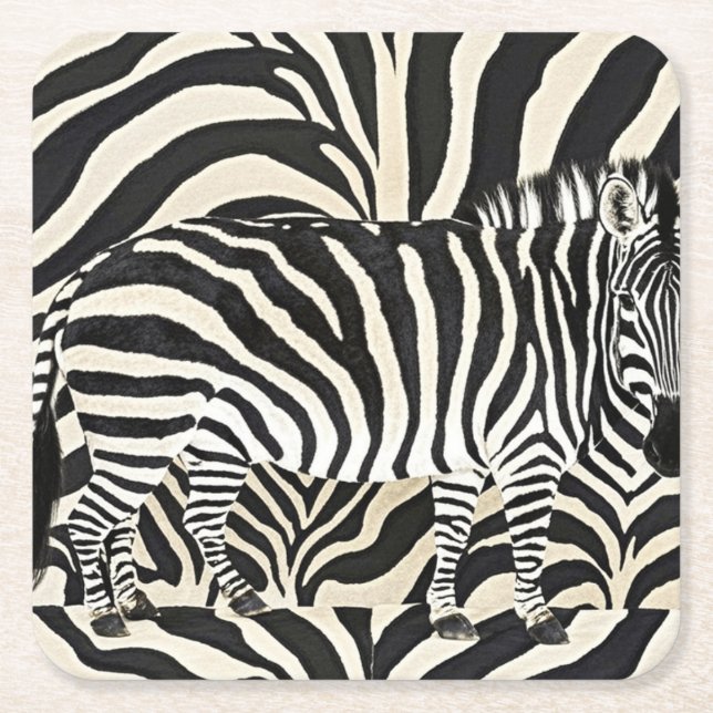 Posavasos Cuadrado De Papel Zebra Coasters (Anverso)