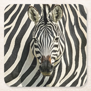 Posavasos Cuadrado De Papel Zebra Coasters