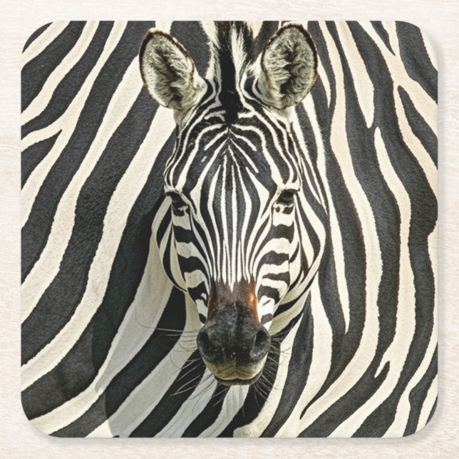 Posavasos Cuadrado De Papel Zebra Coasters (Anverso)