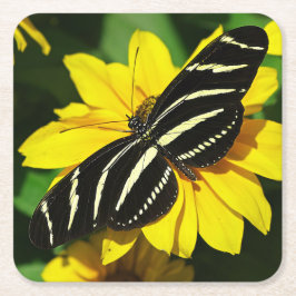 Posavasos Cuadrado De Papel Zebra Longwing