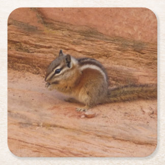 Posavasos Cuadrado De Papel Zion Chipmunk sobre las rocas rojas