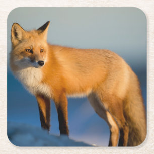 Posavasos Cuadrado De Papel Zorro marrón