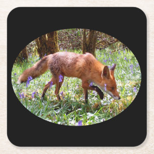 Posavasos Cuadrado De Papel Zorro Rojo En Bosque De Campanillas Azules Pradera