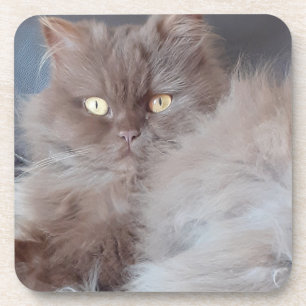 Posavasos Cuadridiza Gato Durísima Monstruo De Plástico