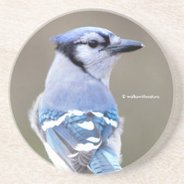 Posavasos Cuadrillo de Jay azul en la montaña rusa Treestump