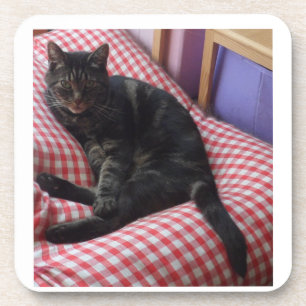 Posavasos Cuadros de plástico Dave