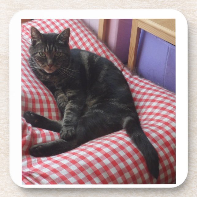 Posavasos Cuadros de plástico Dave (Frente)