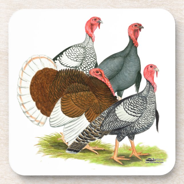 Posavasos Cuarteto de Turquía poco común (Frente)