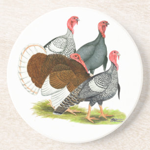 Posavasos Cuarteto de Turquía poco común