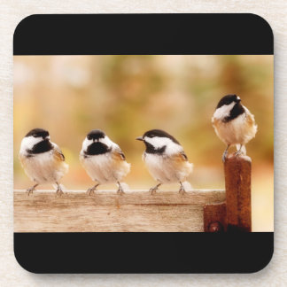 Posavasos Cuatro Chickadees lindos