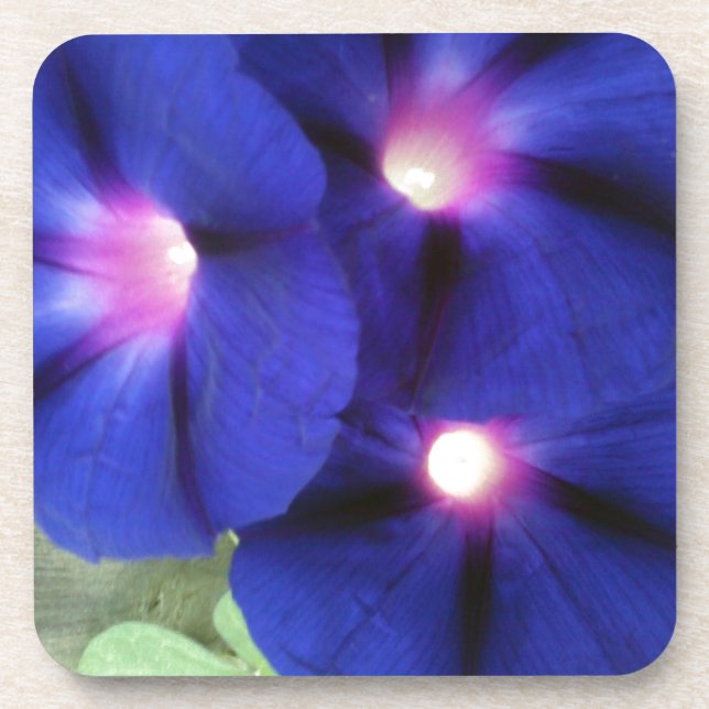 Posavasos Cubeta morada floral (Frente)