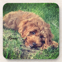 Cubierta de bebidas Doodle dorada