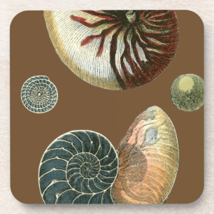 Posavasos Cubierta de cacao