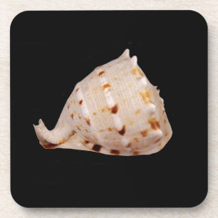 Posavasos Cubierta de conchas de plástico duro