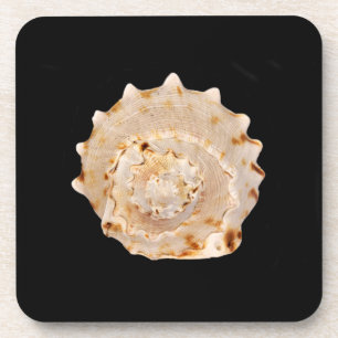 Posavasos Cubierta de conchas de plástico duro