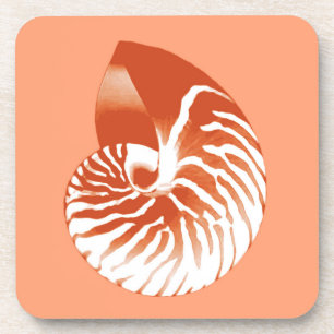 Posavasos Cubierta de Nautilus - terracota y blanco