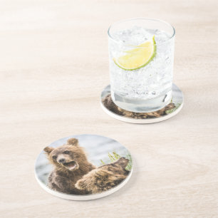 Posavasos Cubos Grizzly Buscando Su Mamá