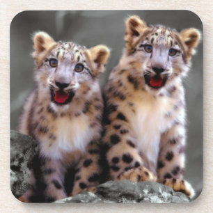 Posavasos Cubs de leopardo de la nieve