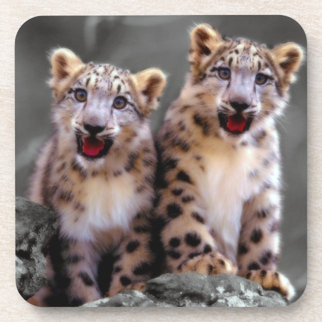 Posavasos Cubs de leopardo de la nieve (Frente)