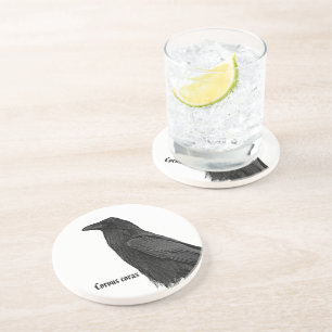 Posavasos Cuervo Negro Con Nombre Científico