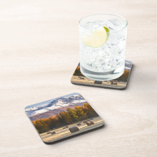 Posavasos Cultivo de Alaska
