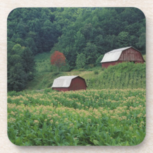 Posavasos Cultivo de tabaco y par de graneros de tabaco rojo