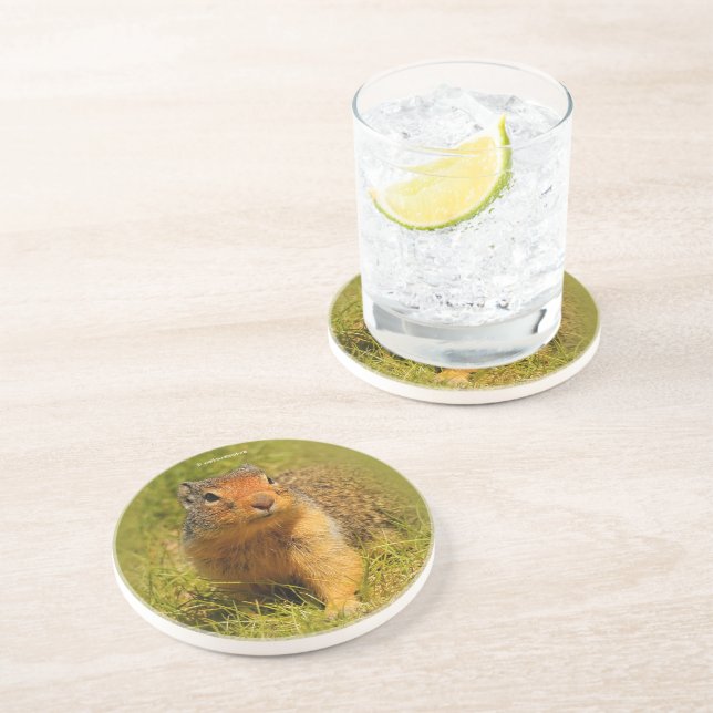 Posavasos Curiosa ardilla subterránea colombiana (Lado)