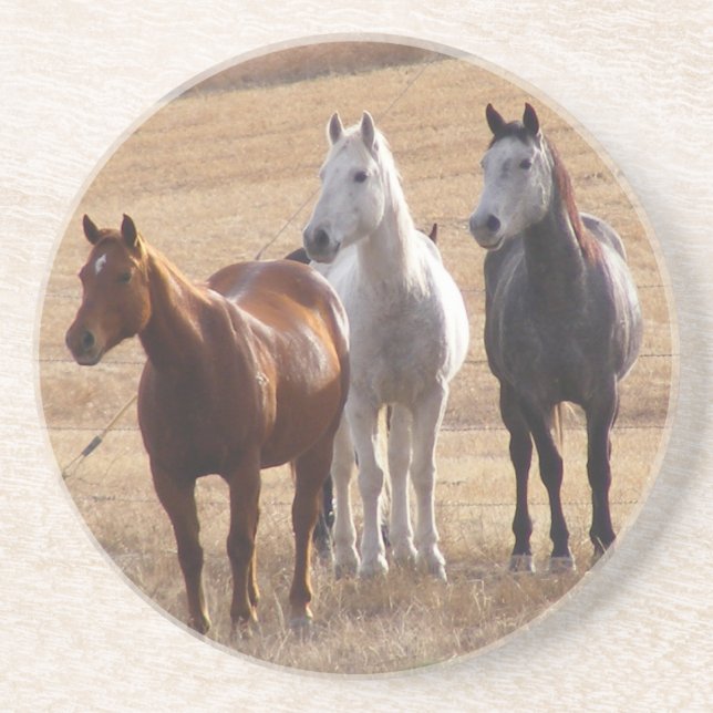 Posavasos Curiosidad equina 3 (Frente)