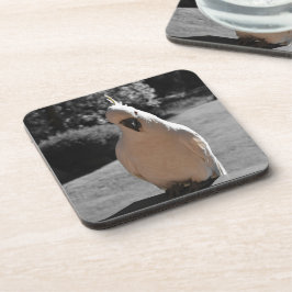 Posavasos Curioso Cacatúa Crestada