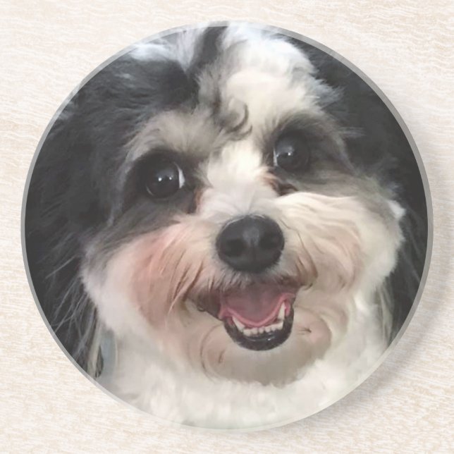 Posavasos Curte K-Cee Zuchon Dog Smile 2 (Frente)