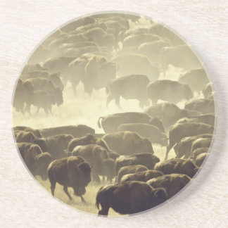 Posavasos Custer Buffalo Roundup Coaster