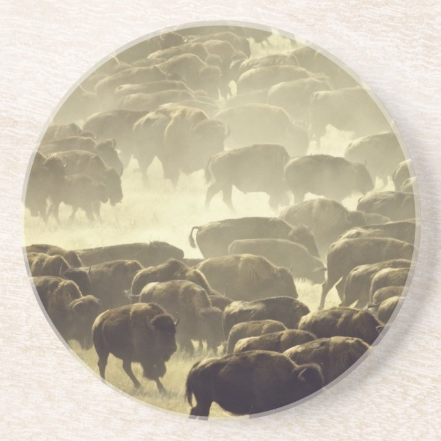 Posavasos Custer Buffalo Roundup Coaster (Frente)