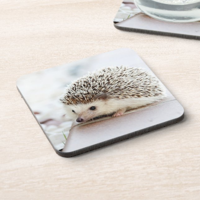 Posavasos Cute Baby Hedgehog Photo (Lado Izquierdo)