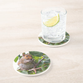 Posavasos Cute Cherry Picando la ardilla gris oriental
