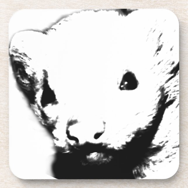 Posavasos Cute Ferret Picture (Frente)