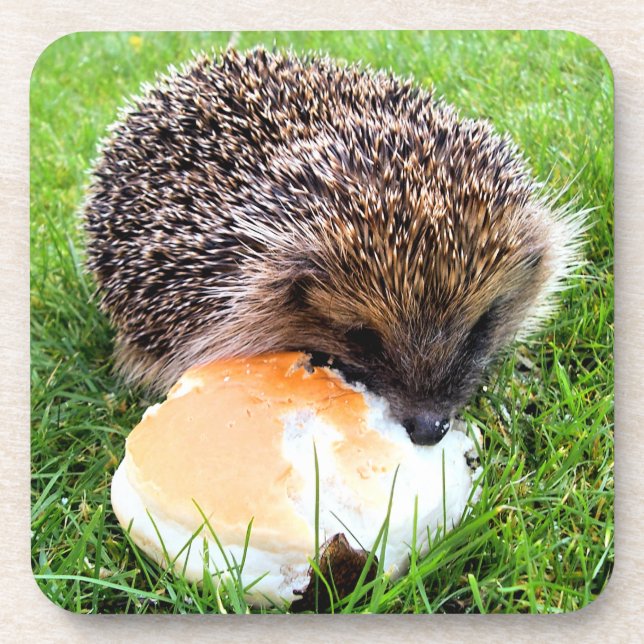 POSAVASOS CUTE HEDGEHOG (Frente)