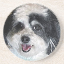 Cute K-Cee Zuchon Dog Coaster