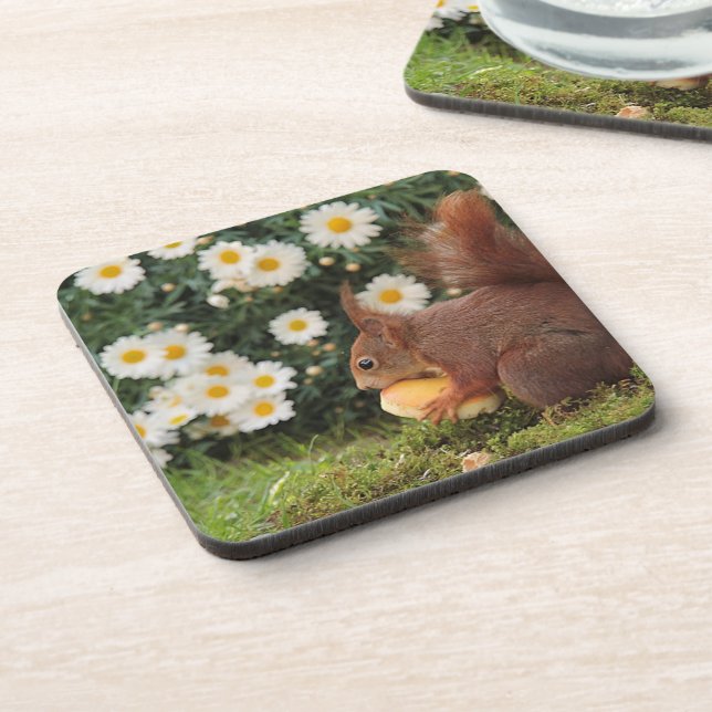 Posavasos Cute Red Squirrel and Daisies (Lado Izquierdo)
