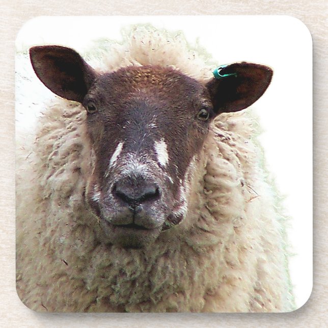 POSAVASOS CUTE SHEEP (Frente)