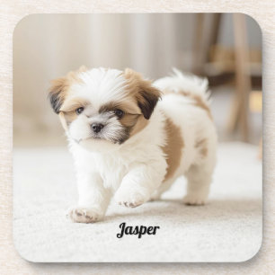 Posavasos Cute Shih Tzu Personalizado Bebida Cocina Set de S