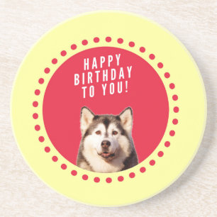 Posavasos Cute Siberian Husky Dog Feliz cumpleaños